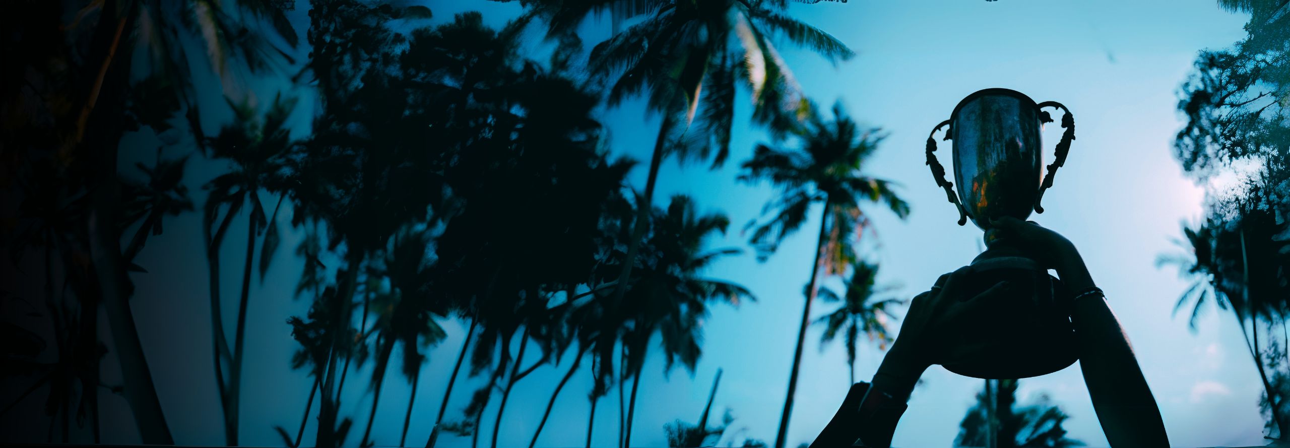 first-banner