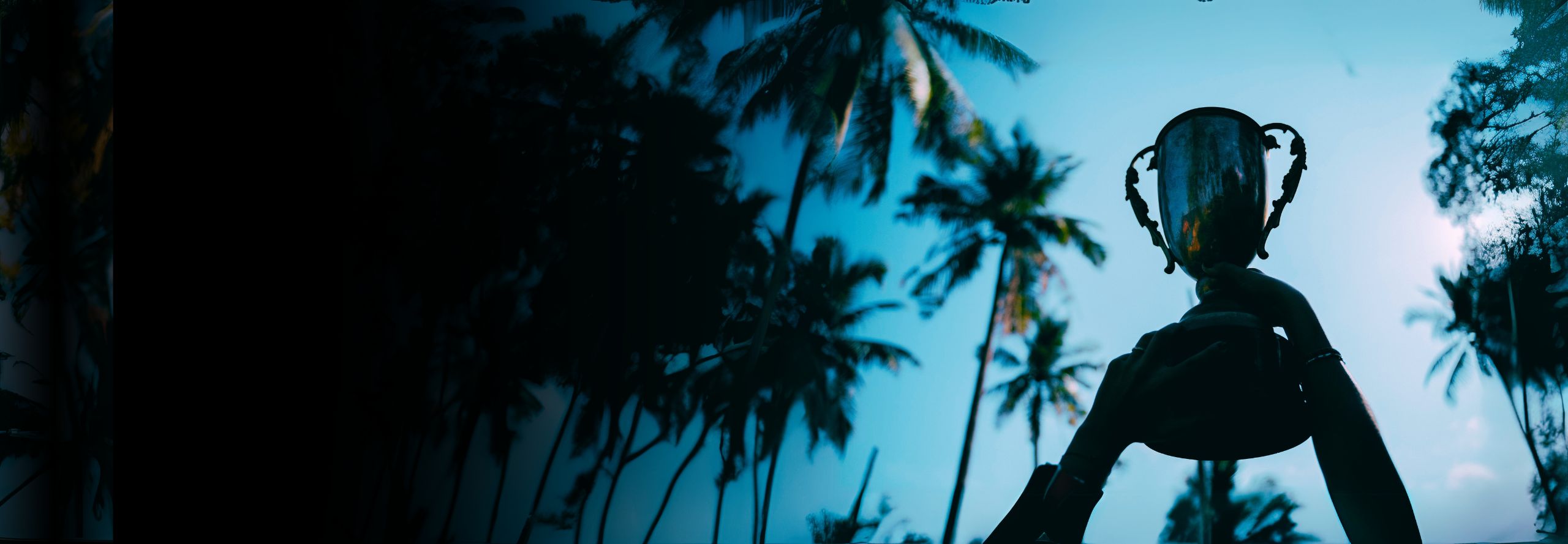 first-banner